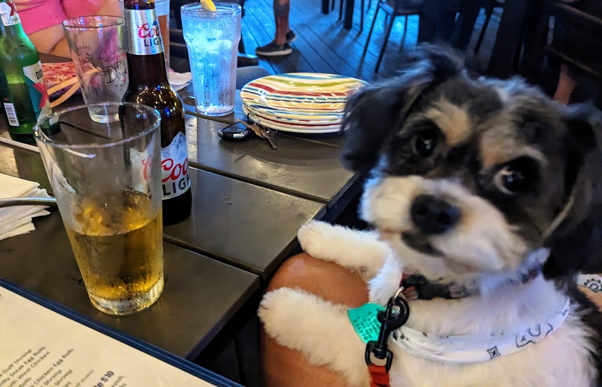 Gelato Joe's Italian Restaurant & Bar-8